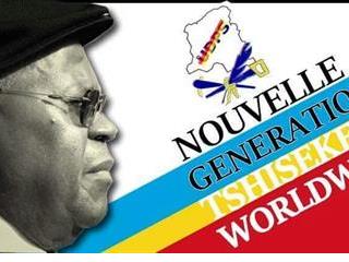RDC-UDPS : Des montages grossiers et inutiles