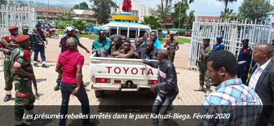 Sud-Kivu : Moisson abondante pour le gouvernement Théo Kasi, 15 rebelles opérant dans le Kahuzi-Biega arrêtés