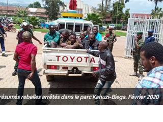Sud-Kivu : Moisson abondante pour le gouvernement Théo Kasi, 15 rebelles opérant dans le Kahuzi-Biega arrêtés