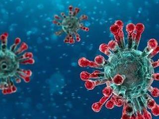 Nord-Kivu : Le deuxième cas testé positif au Coronavirus est un sujet français de 53 ans.