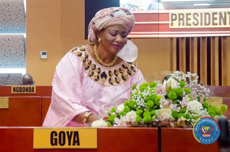  RDC : Dossier réfection du sénat, 4 millions USD jetés dans un pot de fleur