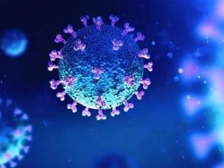 Coronavirus : Deux professeurs de l'Université de Lubumbashi proposent un protocole de traitement au gouvernement congolais., La Nouvelle Afrique