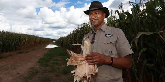 Haut-Katanga : À Futuka, Moïse Katumbi récolte 43.000 mille tonnes de maïs soit plus du double de la production de Bukangalonzo