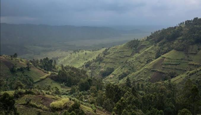 Nord-Kivu : 4 éco-gardes blessés, bilan d’une attaque armée à Nyamilima dans le Parc national des Virunga.
