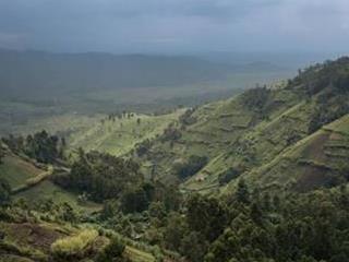 Nord-Kivu : 4 éco-gardes blessés, bilan d’une attaque armée à Nyamilima dans le Parc national des Virunga.
